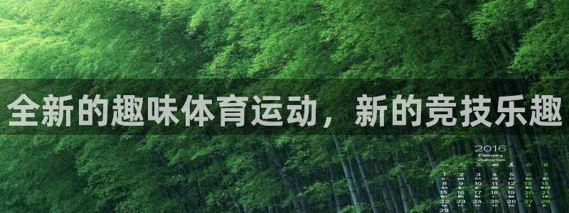 意昂4平台注册：全新的趣味体育运动，新的竞技乐趣