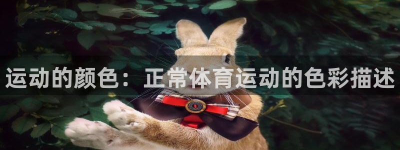 意昂体育凯捷平台代理：运动的颜色：正常体育运动的色彩描述