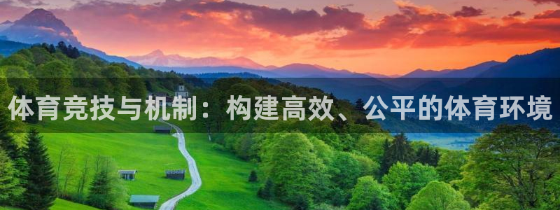 意昂体育注册平台：体育竞技与机制：构建高效、公平的体育环境