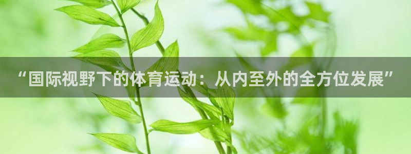 意昂2体育：“国际视野下的体育运动：从内至外的全方位发展”