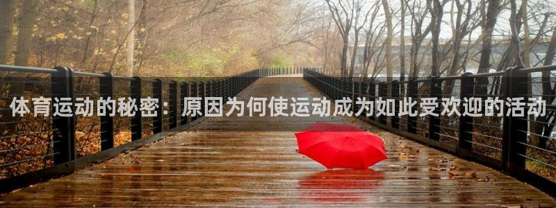 意昂平台登录：体育运动的秘密：原因为何使运动成为如此受欢迎的活动