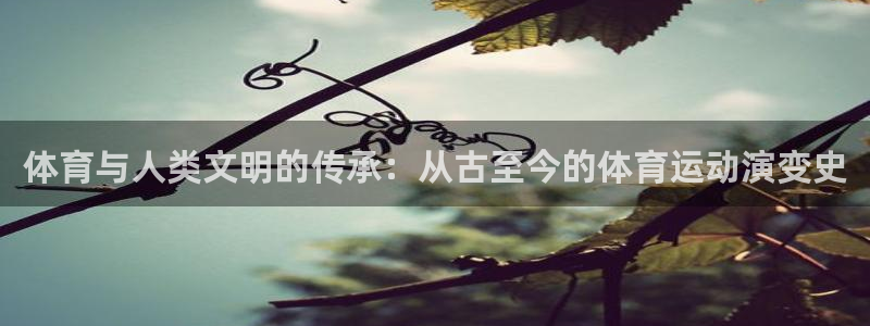 意昂体育2：体育与人类文明的传承：从古至今的体育运动演变史