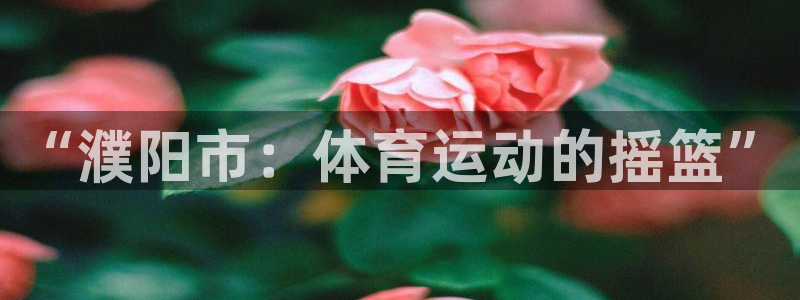 意昂4登录：“濮阳市：体育运动的摇篮”