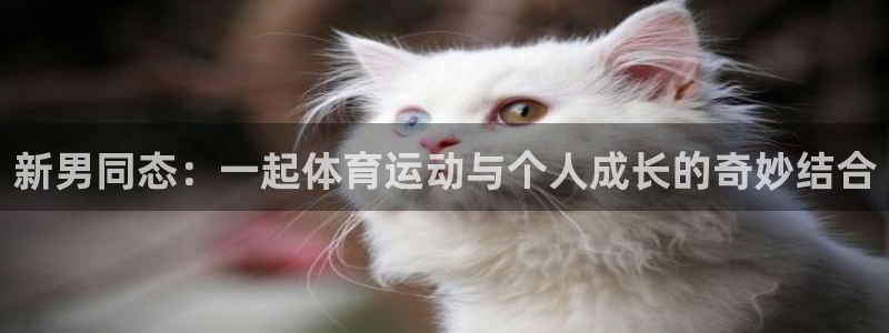 意昂体育官网：新男同态：一起体育运动与个人成长的奇妙结合