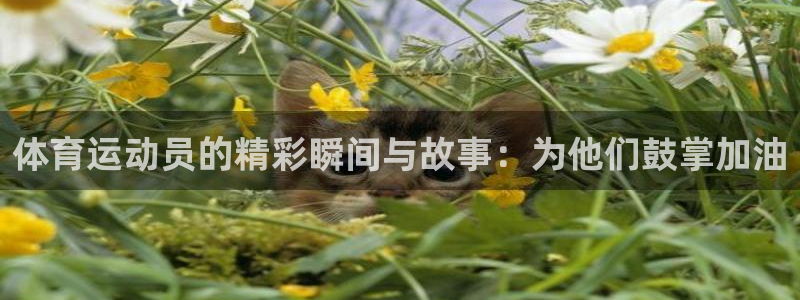 意昂招商：体育运动员的精彩瞬间与故事：为他们鼓掌加油