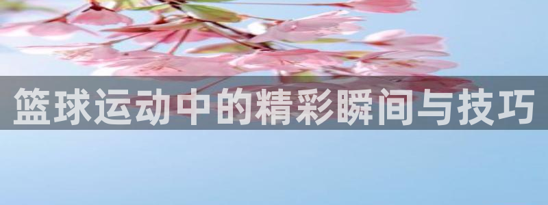 意昂体育官网