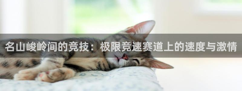 意昂体育3：名山峻岭间的竞技：极限竞速赛道上的速度与激情