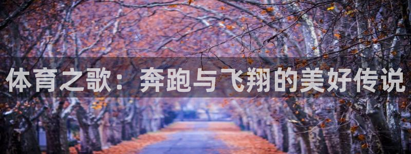 东莞市意昂电子科技有限公司：体育之歌：奔跑与飞翔的美好传说