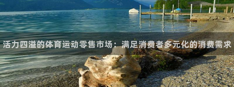 意昂代理：活力四溢的体育运动零售市场：满足消费者多元化的消费需求