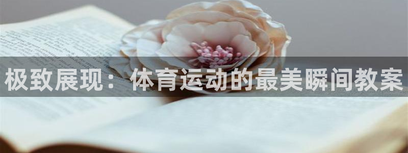 意昂的动画：极致展现：体育运动的最美瞬间教案