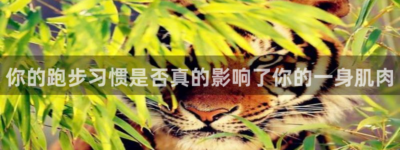 意昂体育app下载：你的跑步习惯是否真的影响了你的一身肌肉