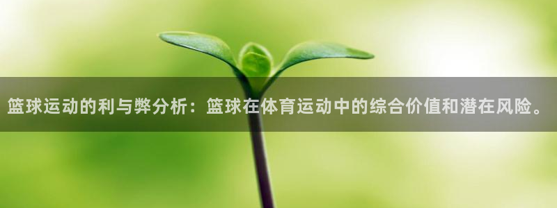 佛山市南海意昂机电仪器有限公司：篮球运动的利与弊分析：篮球在体育运动中的综合价值和潜在风险。
