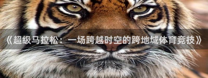 佛山市南海意昂机电仪器有限公司：《超级马拉松：一场跨越时空的跨地域体育竞技》